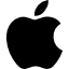 Apple icon